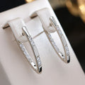 Elegant zircon earrings in gold – Silver