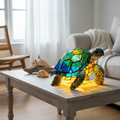 The essence of the Molokai Tortoise – image 3